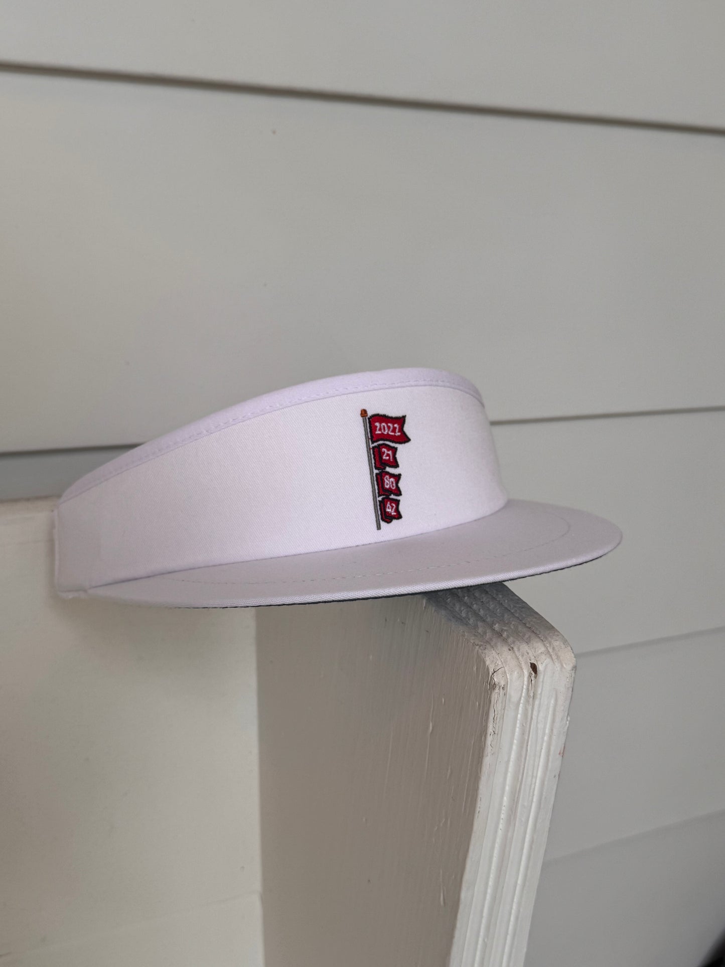 Banner Year Tour Visor