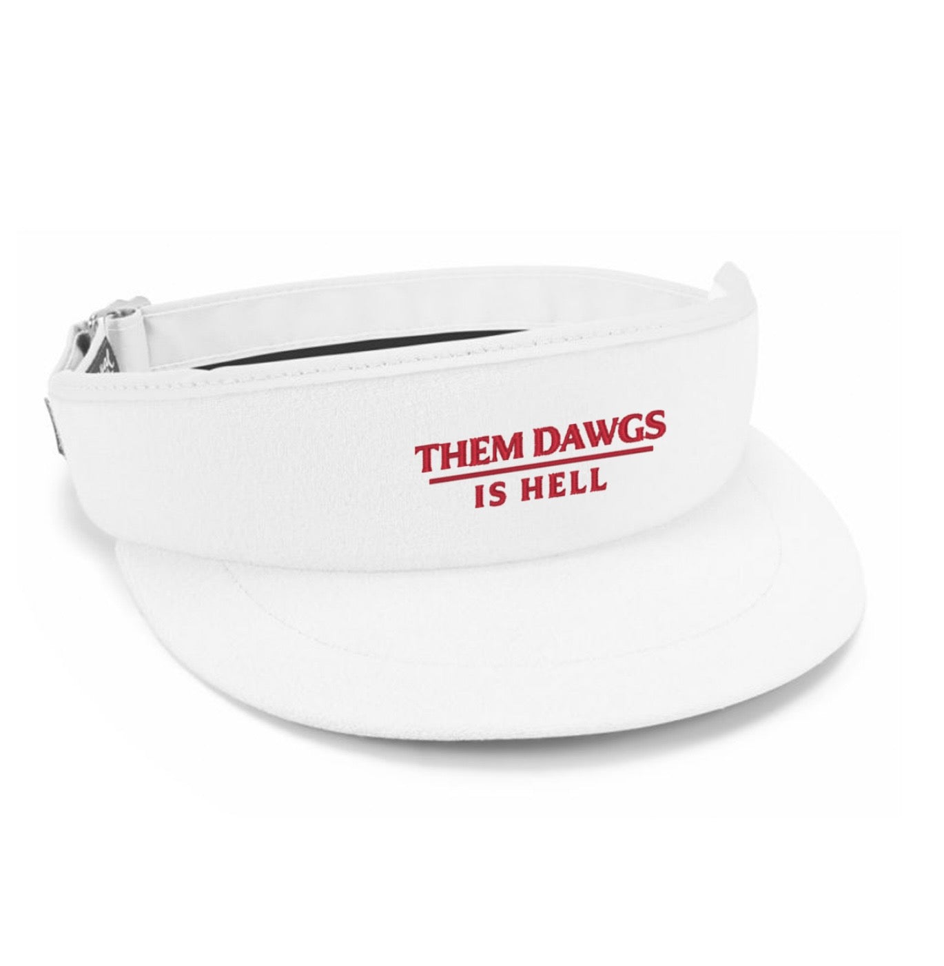 PMGN TDIH Tour Visor